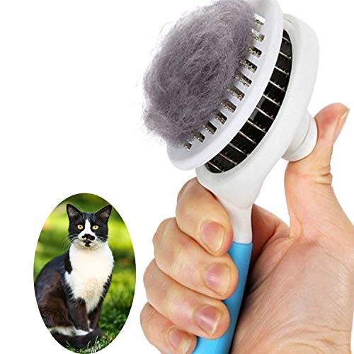 Pet Comb Brush (Dogs & Cats)