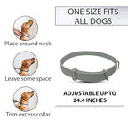 Dog Flea Collar