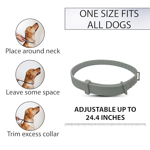 Dog Flea Collar