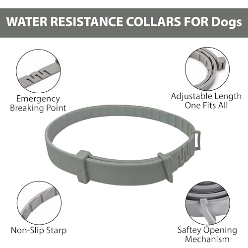 Dog Flea Collar