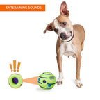 PET TOY BALL (Dogs & Cats)