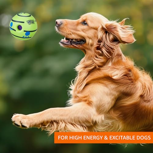 PET TOY BALL (Dogs & Cats)