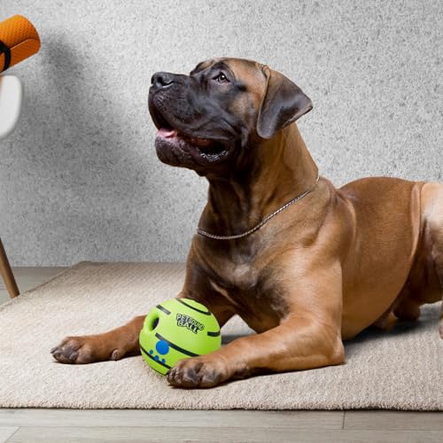 PET TOY BALL (Dogs & Cats)