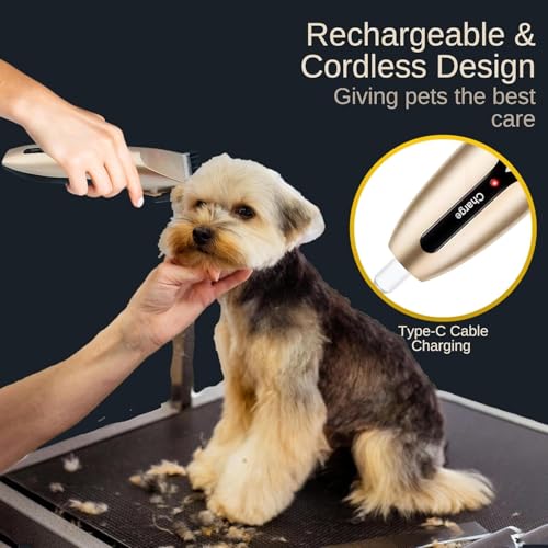 Hair trimmer Regular Set (Dogs & Cats)