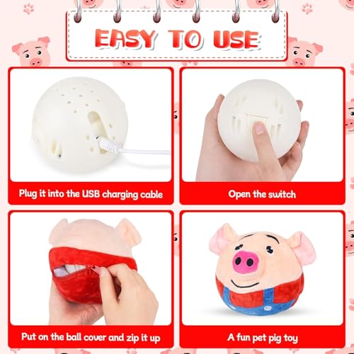 Dancing and Singing Piglet for (Dogs & Cats)