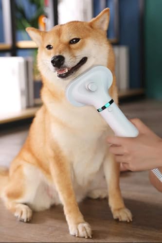 2 in 1 Pet Hair Grooming Dryer
