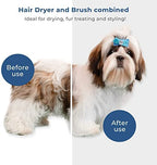 2 in 1 Pet Hair Grooming Dryer
