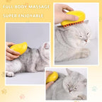 2 in 1 Mango Shape Pet Steam Brush