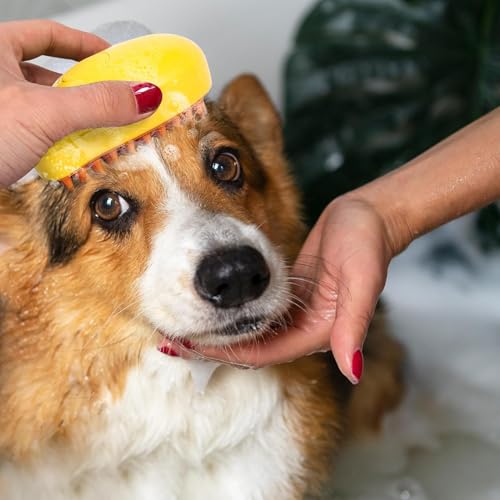 2 in 1 Mango Shape Pet Steam Brush