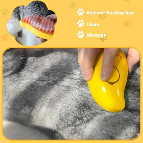 2 in 1 Mango Shape Pet Steam Brush